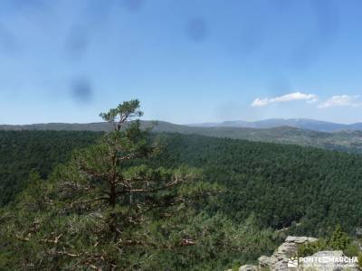 Sestil de Maillo-Mojonavalle-Canencia; rutas por los arribes del duero senderismo sierra de cazorla